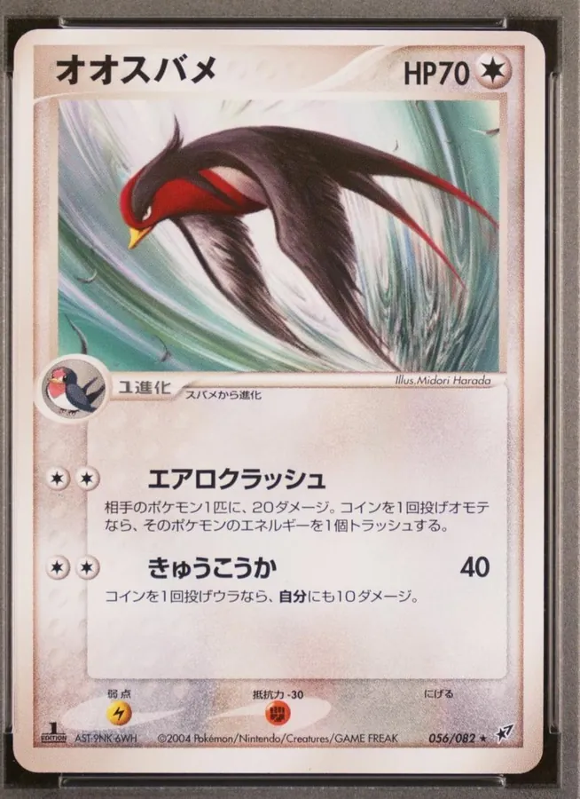 Swellow [1st-Edition]